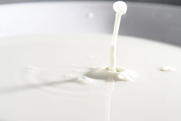 Milk splash as background