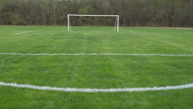 Soccer pitch and goal. Trees in the background. Toronto, Canada. Handheld shot with stabilized camera.