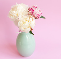 Close up of white and pink peonies in glass vase on pink background (selective focus)