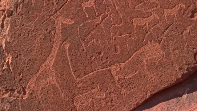 Sandstone engraving of Lion Man and giraffe in Twyfelfontein, Namibia, CLOSE UP