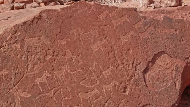 Twyfelfontein Lion Man carving in Namibia, Panning from giraffe to antelope herd