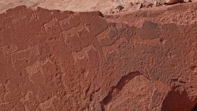Rock engraving of antelope herd on Lion Plate carving in Twyfelfontein, Namibia