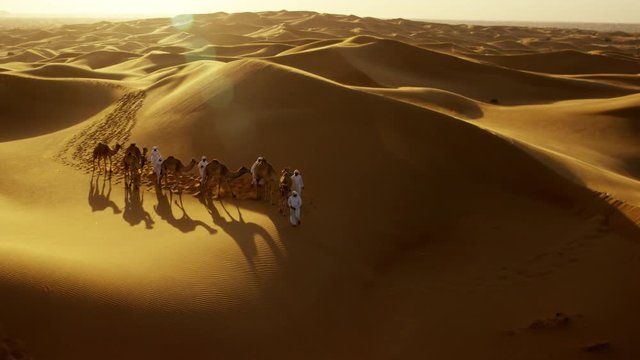 Aerial Drone Of A Convoy Of Camels With Owners Across Desert Sand