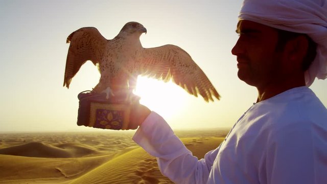 Silhouette of Middle Eastern falconer in desert with his bird of prey at sunrise