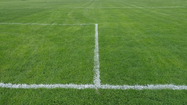 View of detail of penalty box and lines on soccer field. Fresh green grass. Room for copy or text. Handheld shot with stabilized camera.