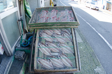 干物の町