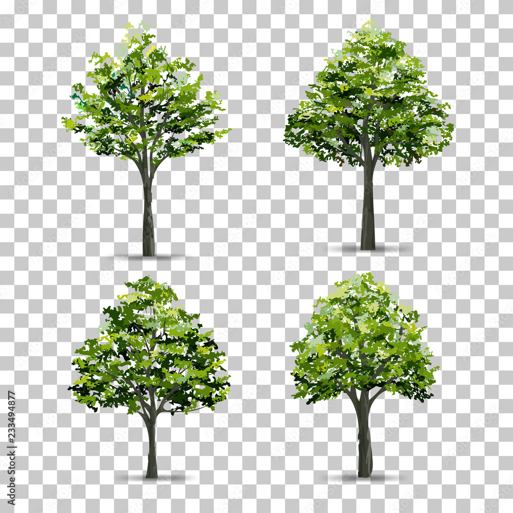 Poster collection of tree isolated on transparent background with soft shadow. vector.
