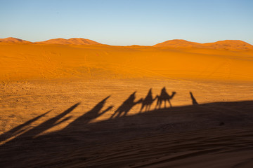 Fototapeta na wymiar Caravan traveling and camels shadows on the sand in Sahara desert, Morocco.