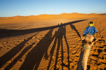Caravan traveling and camels shadows on the sand in Sahara desert, Morocco.