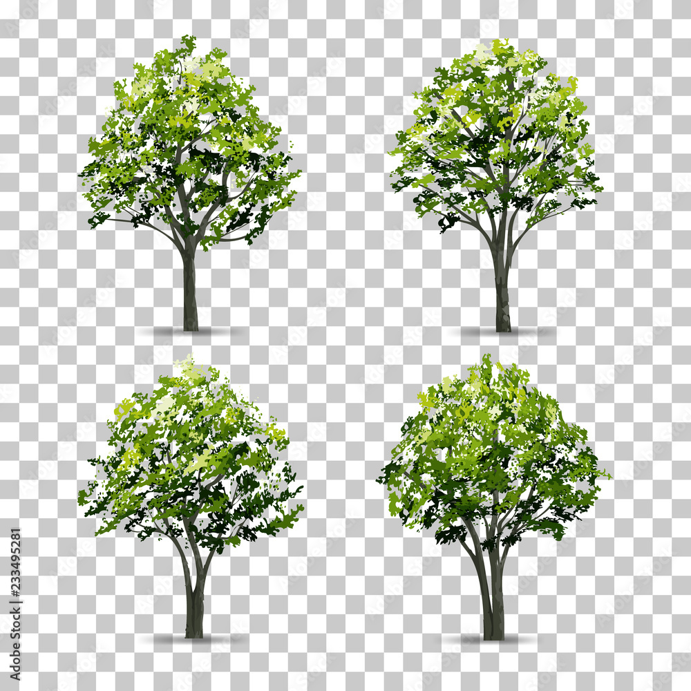Poster collection of tree isolated on transparent background with soft shadow. vector.