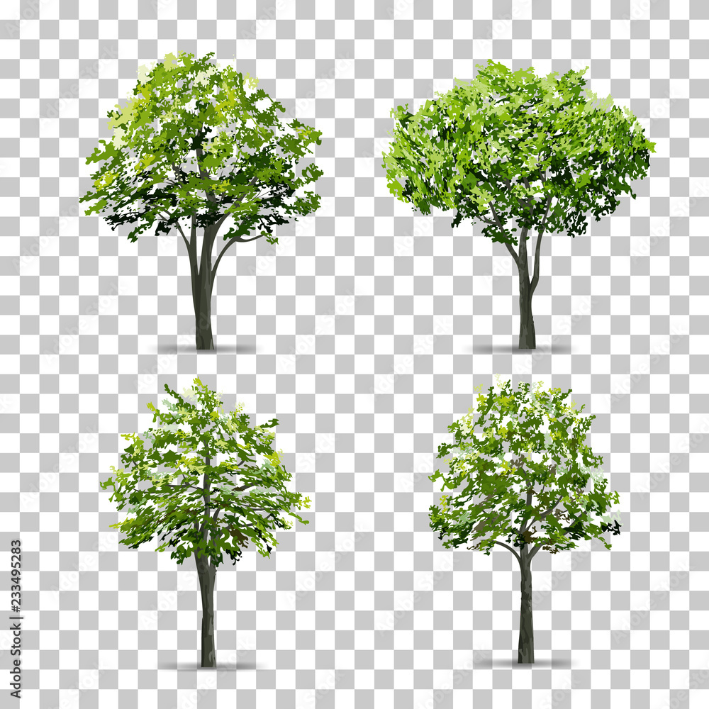 Poster collection of tree isolated on transparent background with soft shadow. vector.