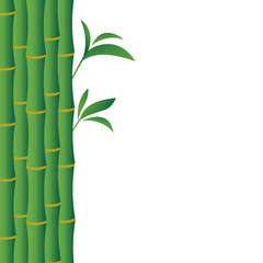 Green background with bamboo stems