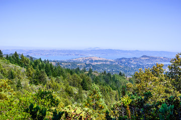 Aerial view of the forests of Mount Tamalpais State park; the San Francisco bay shoreline, Point Richmond and Mt Diablo visible in the background; Marin County, California