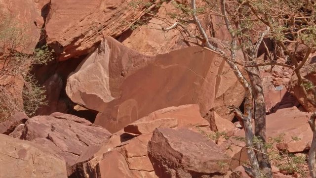 Elephant rock carving at Twyfelfontein Heritage Site in Namibia, ZOOM IN