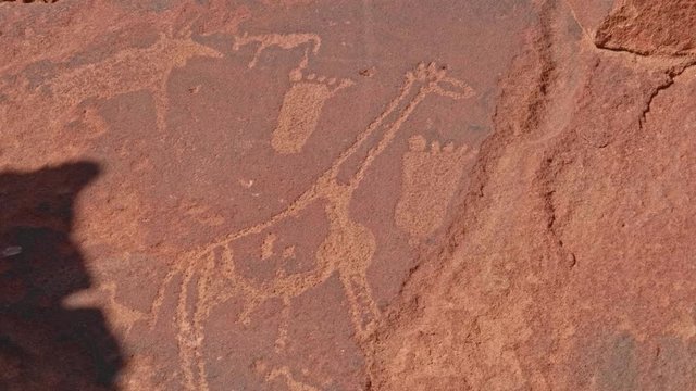 Rock engraving of giraffe with human footprints, Twyfelfontein, Namibia, CLOSEUP