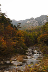 山梨県甲府市　昇仙峡の紅葉
