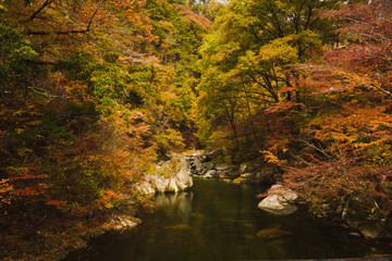 山梨県甲府市　昇仙峡の紅葉
