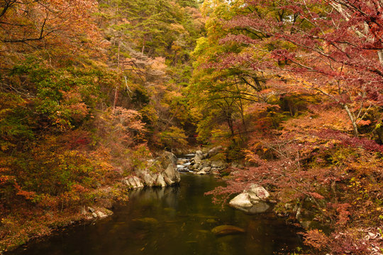 Die 234 Besten Bilder Stock Fotos Und Vektorgrafiken Zu See Kriegsflagge Adobe Stock