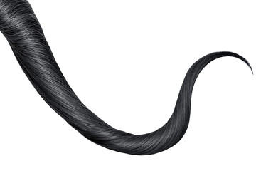 Thin curl of black hair isolated on white background. Top-down view