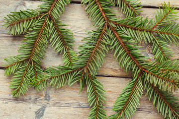 Christmas pine tree branches on wooden board.