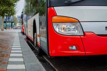 bus at the bus stop © malcev852