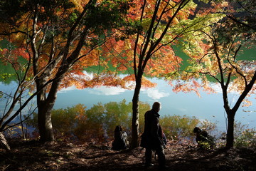 秋　紅葉　湖畔　湖で紅葉を楽しむ人々　シルエット　紅葉狩り