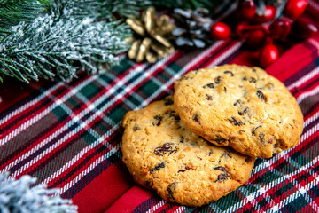 Fototapeta na wymiar Delicious cookies with chocolate crumbs. Tasty dessert food in close up. Chocolate cookies served on tray, decorated fir branches. French cuisine. Christmas theme