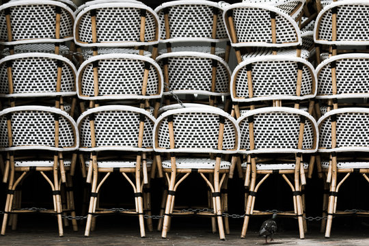 seats with pigeon