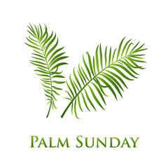 Palm leafs vector icon. Vector illustration  for the Christian holiday Palm Sunday. - 233506452