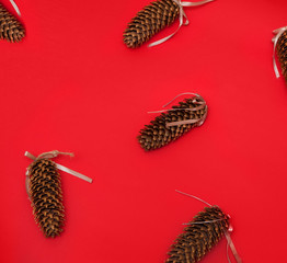 Pinecones on christmas red background.
