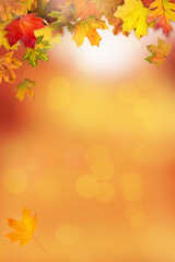 Naklejka na ściany i meble A frame made with autumn leaves and sunny bokeh background