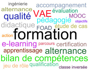 Nuage de mots formation 