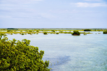 Along the floria keys