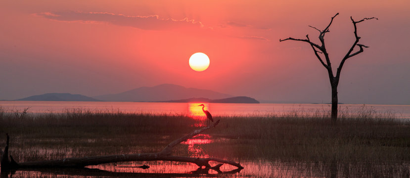 Landscape of the sun setting over Lake Kariba with an African Grey Heron perched directly beneath the rays of the setting sun.  The perfect ending to a beautiful day.  Lake Kariba, Zimbabwe