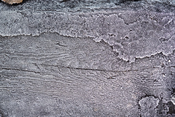 Frozen wood surface
