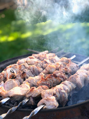 Roasted meat on skewers, cooked at barbecue on a sunny day.