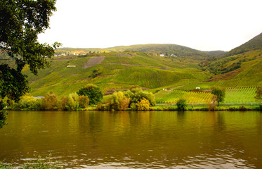 Fototapeta premium The river Moesel with hills and vineyards on the background
