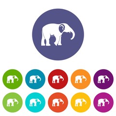 Elephant icons color set vector for any web design on white background
