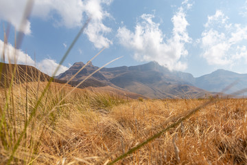 Drakensberg, Afrique du Sud