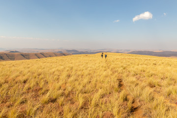 Obraz premium Drakensberg, Afrique du Sud