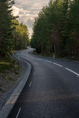 Fototapeta na wymiar Curved tarmac road passing trough a pine forest in Sweden