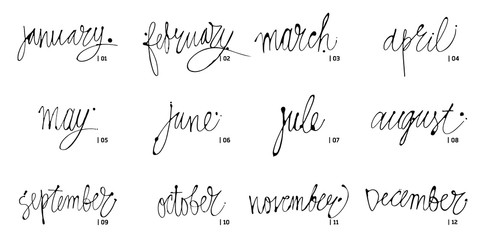 Handwritten names of months December, January, February, March, April, May, June, July, August September October November Calligraphy words for calendars and organizers. Vector illustrations.