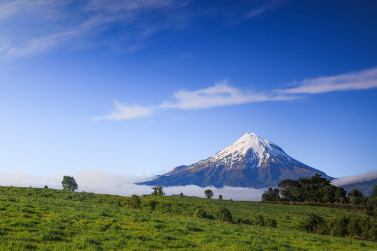 Mount Taranaki with snow capped and green grass hill at foreground under the blue sky in Egmont National Park, Taranaki, New Zealand. Stratovolcano cone in New Zealand 