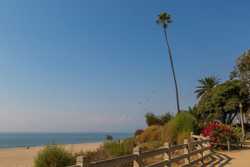 Sant Monica beachview