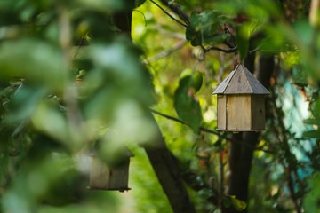 birdhouse on tree