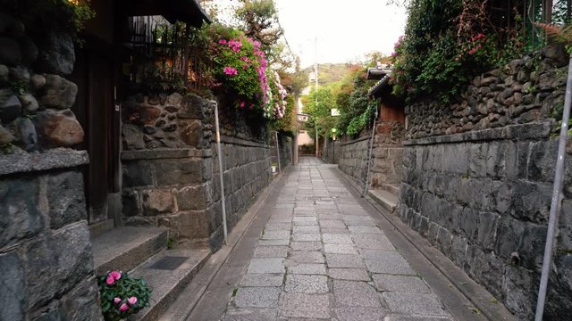 elegant lady walking in a peaceful Japanese path, full of plants, flowers and trees