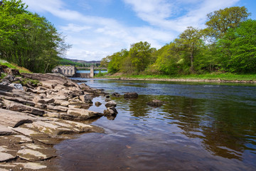 Deer Fluss Tummel bei Pitlochry in Schottland