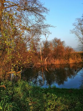 Aulandschaft