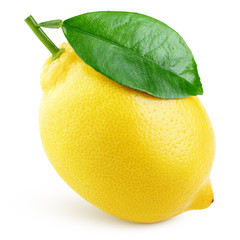 Ripe whole yellow lemon citrus fruit with green leaf isolated on white background. With clipping...