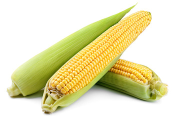 Ears of corn (Corncob) isolated on white background. Full depth of field.
